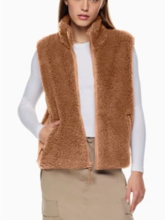 TNA Jackets & Blazers - TNA Aritzia Teddy Polar Vest in Brown